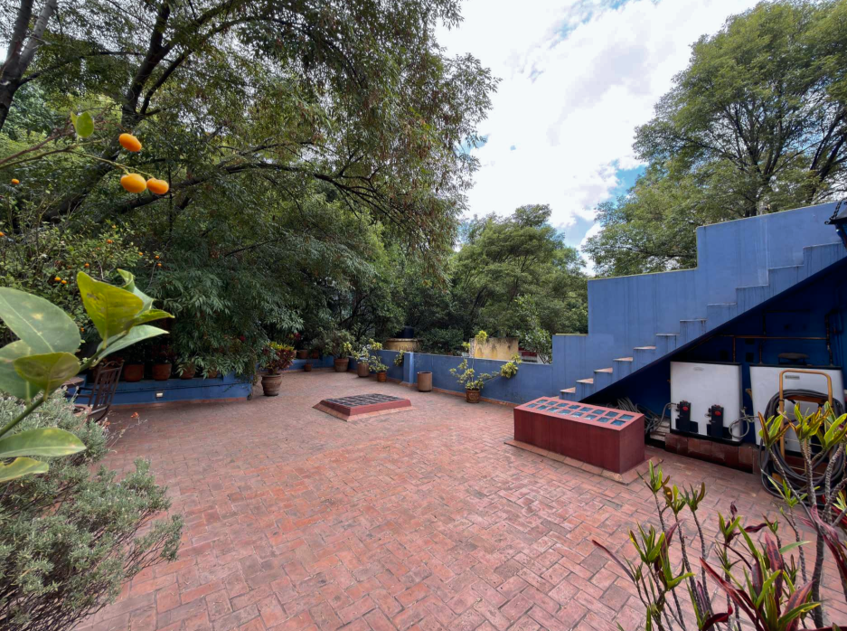 Terraza